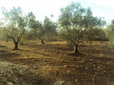 اعلان