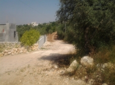 بالصور شق طرق جديده في قفين