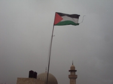 بالصور قفين قبل قليل